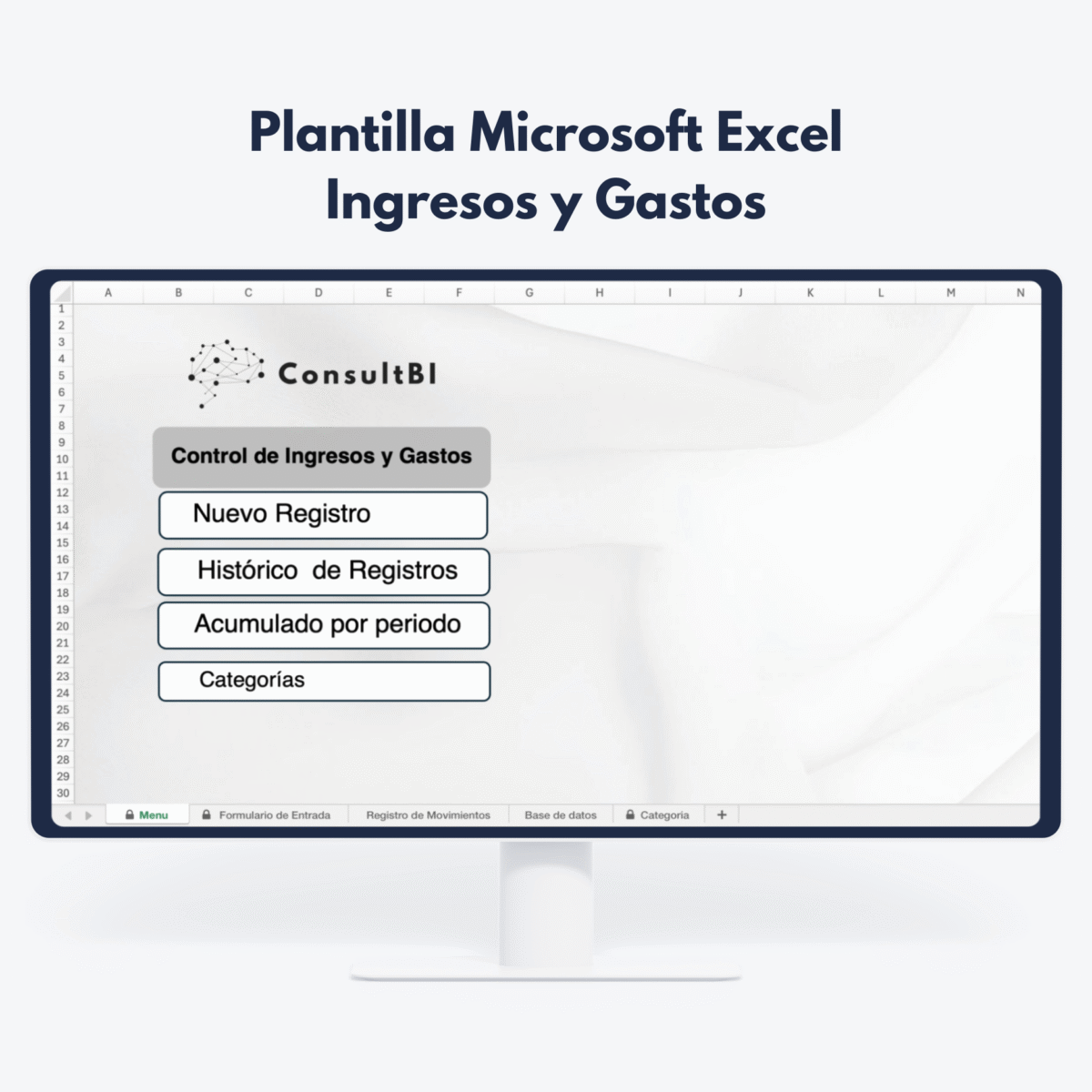 Pantalla con plantilla Excel de control financiero mostrando ingresos y gastos - Gestión y análisis financiero empresarial